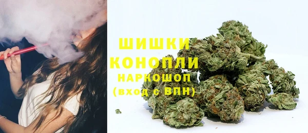 ПСИЛОЦИБИНОВЫЕ ГРИБЫ Сосновый Бор