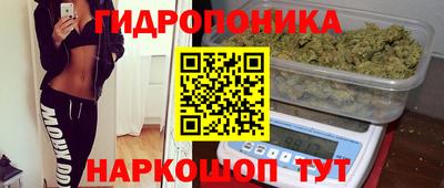 дмт Будённовск