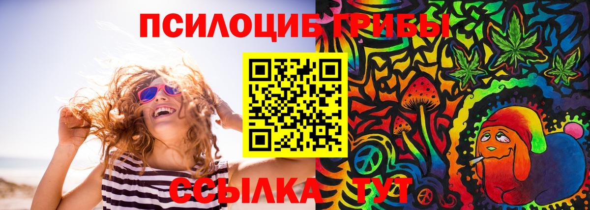 Галлюциногенные грибы мицелий  Галлюциногенные грибы прущие грибы  Ялуторовск 