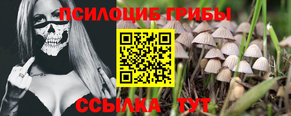 Ялуторовск  Галлюциногенные грибы мицелий  Вход с VPN 