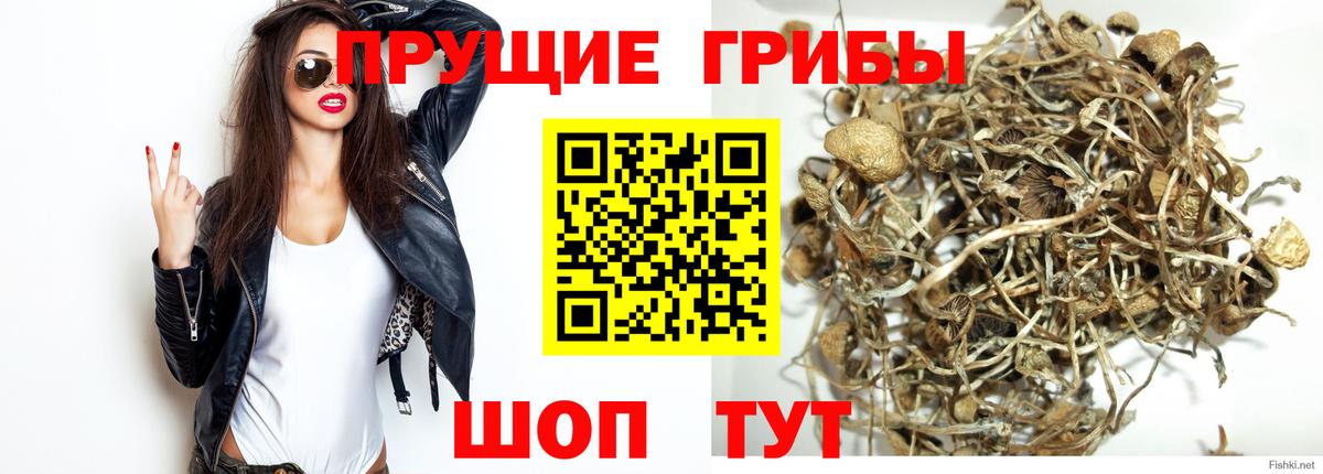 Псилоцибиновые грибы Magic Shrooms Ялуторовск